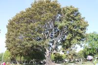 Los Angeles - Beverly Hills