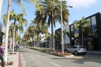 Los Angeles - Beverly Hills - Rodeo Drive