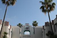 Los Angeles - Beverly Hills - Rodeo Drive