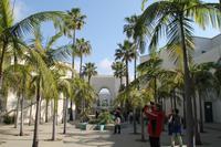 Los Angeles - Beverly Hills - Rodeo Drive