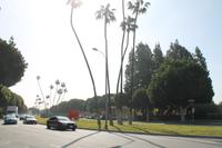 Los Angeles - Beverly Hills