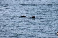 Los Angeles - Marina Del Rey