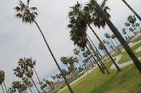 Los Angeles - Venice Beach
