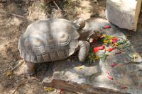 Mojave-Wüste - Wüstenmuseum in Barstow