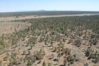 Helikopter Rundflug - Grand Canyon N.P.