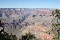 Grand Canyon N.P.
