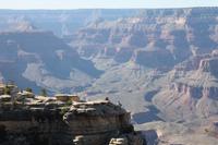 Grand Canyon N.P.