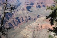 Grand Canyon N.P.