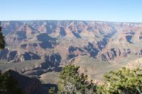 Grand Canyon N.P.