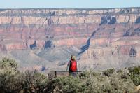 Grand Canyon N.P.