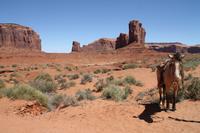 Weiterfahrt zum Monument Vally N.P.