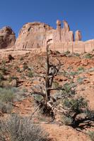 Arches N.P.