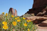 Arches N.P.