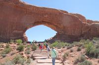 Arches N.P. - Windows