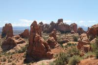 Arches N.P. - Windows