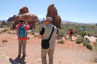 Arches N.P. - Windows