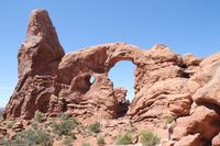 Arches N.P. - Windows