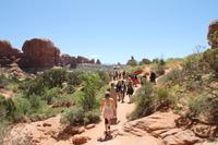 Arches N.P. - Windows