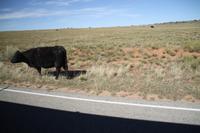 Fahrt zum Canyon Land N.P.