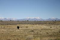 Fahrt zum Canyon Land N.P.