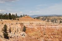 Bryce Canyon N.P.