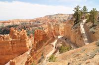 Bryce Canyon N.P.
