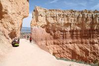 Bryce Canyon N.P.