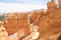 Bryce Canyon N.P.