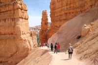Bryce Canyon N.P.