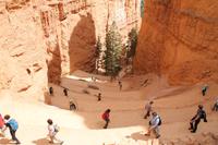 Bryce Canyon N.P.