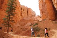 Bryce Canyon N.P.