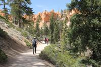 Bryce Canyon N.P.