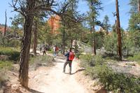 Bryce Canyon N.P.