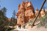 Bryce Canyon N.P.