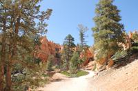 Bryce Canyon N.P.