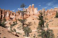 Bryce Canyon N.P.