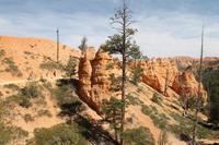 Bryce Canyon N.P.