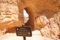 Bryce Canyon N.P.