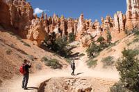 Bryce Canyon N.P.