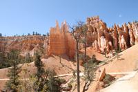 Bryce Canyon N.P.