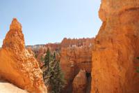 Bryce Canyon N.P.