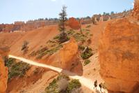 Bryce Canyon N.P.
