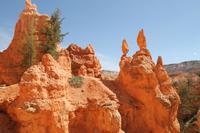 Bryce Canyon N.P.