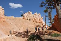 Bryce Canyon N.P.