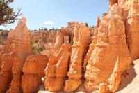 Bryce Canyon N.P.