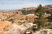 Bryce Canyon N.P.