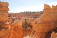 Bryce Canyon N.P.