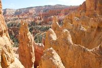 Bryce Canyon N.P.