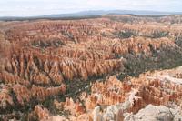 Bryce Canyon N.P.