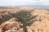 Bryce Canyon N.P.